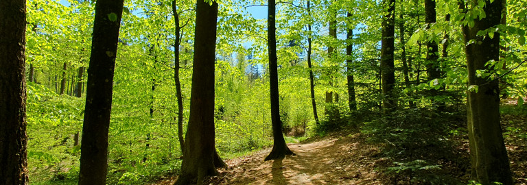 AOK Cross-Parcours