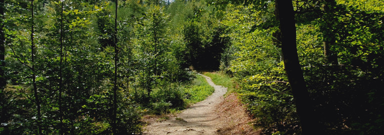 AOK-Cross-Parcours Kohlbruck