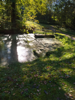 Neuburger Wald Nähe PEB