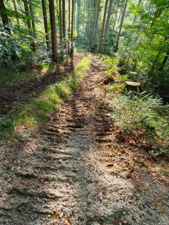Harvesterspur