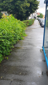 an der Bushaltestelle Westerburgerstraße