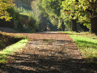 bei Kohlbruck, Neuburger Wald