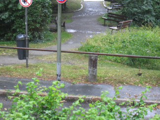 "Röhr-Weiher-Park" bei Regenwetter